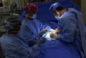 traitement chirurgical des varices des jambes