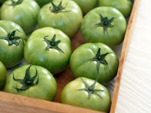 tomates vertes contre les varices